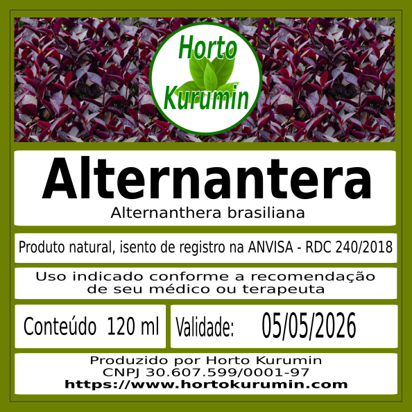 Tintura de Alternanthera