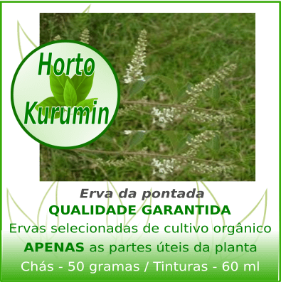 Tintura de Erva da Pontada