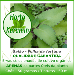 Tintura de Saião