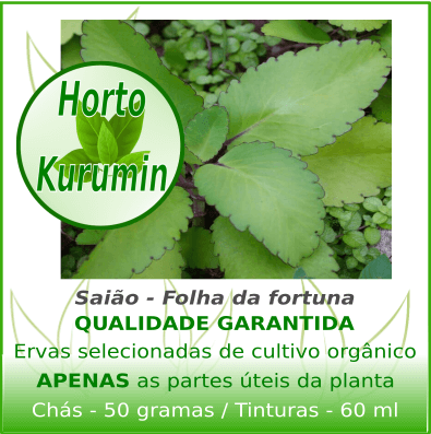 Tintura de Saião