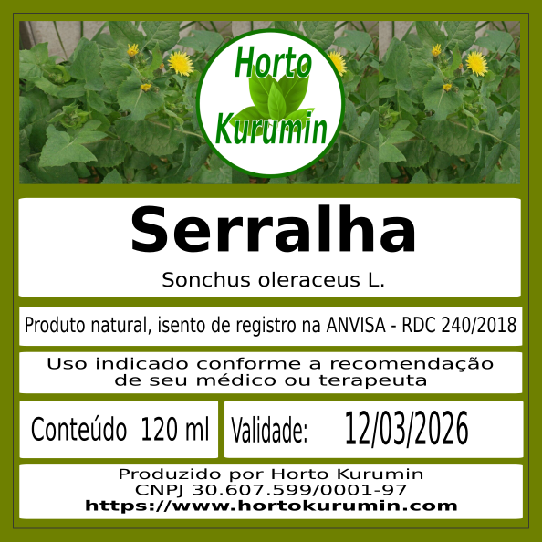 Tintura de Serralha