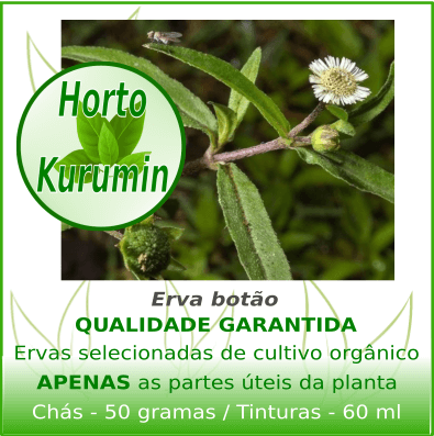 Tintura de Erva Botão