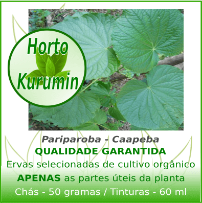 Tintura de Pariparoba - Caapeba