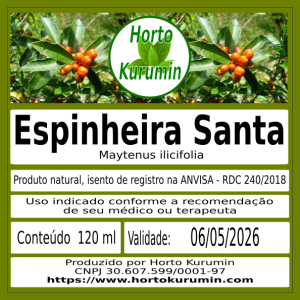Tintura de Espinheira Santa